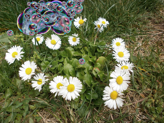 Herzliches und Seifenblasen